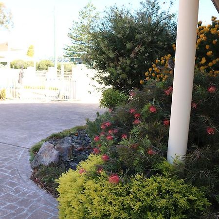 Merimbula Beach Apartments Екстериор снимка