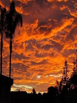 Merimbula Beach Apartments Екстериор снимка